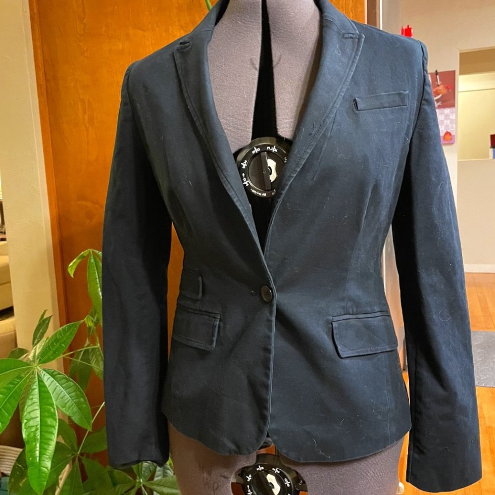 Banana Republic blazer | 10 | gray/blue